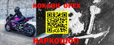 прущие грибы Ирбит